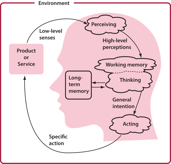 diagram linking perception of the product to working memory, which interfaces with long term memory and thinking to form an intention, which is processed into an action